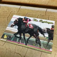 日刊スポーツ　Gホースカード　98春　トレーディングカード　ＢＯＸ G126 【アラホウトク】1998 日刊スポーツ Gホースカード・春