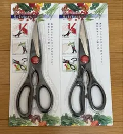 Item thumbnail for item c6926eed-4cb6-4a3e-9e60-3bafcc3717c1