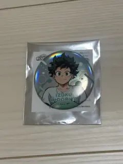 僕のヒーローアカデミア　アニマルビーチボール　緑谷出久