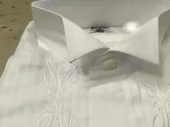 Item thumbnail for item 72183386-97c8-4f75-b122-65388638b58c