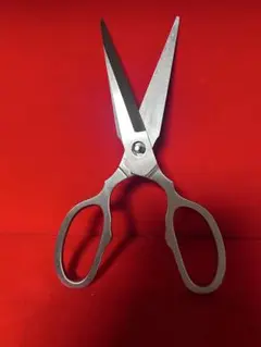 Item thumbnail for item aad4cfac-09e7-4a4c-a955-e54b2c891124