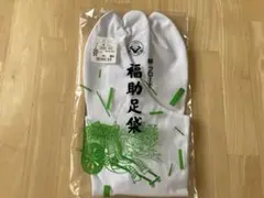 Item thumbnail for item 4e07689f-43d6-49c8-806c-d4aed03a53c6