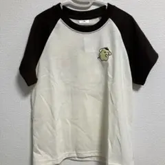 サンリオキャラクターズ　天竺5分袖ラグランTシャツ　ポムポムプリン