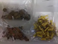 電子部品