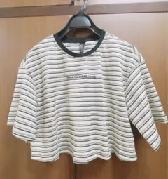 tシャツ ショート丈　レディース