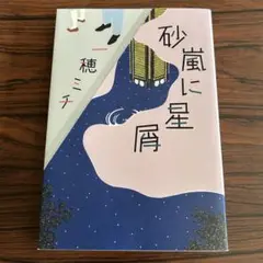 砂嵐に星屑