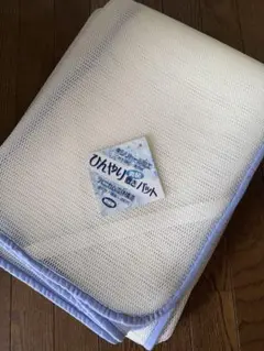 デパート商品※訳あり※キシリトール加工ハニカム立体構造敷パットシングル