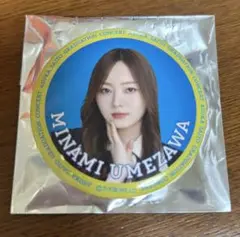 Item thumbnail for item 17a6ae03-5db2-41dd-8056-0869c59280bd