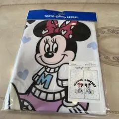 ディズニーリゾート　仲良しくらぶ　ミッキーミニー　のれん　暖簾