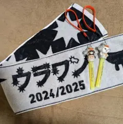 ドリカム ウラワン2024/2025 •マフラータオル •ペンライト使用済2本