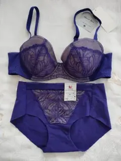 C75 ワコール　シアーブラー Sheer Braブラショーツ セット