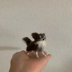 羊毛フェルト　小さい　イザベラチワワ