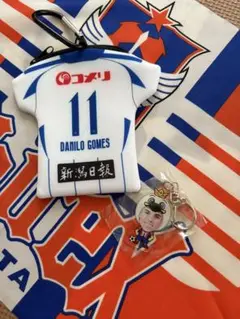 アルビレックス新潟　ダニーロゴメス