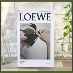 ダミーブック フェイスブック オシャレ小物 海外雑貨 結婚式 LOEWE 北欧