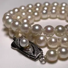 Item thumbnail for item c066330f-f29a-40ae-b750-7498dd138733