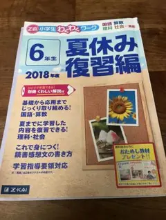 Z会 6年生 夏休み復習編 2018年