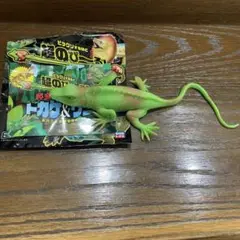 超のび〜る　変形爬虫類リアルトカゲ＆ワニ　グリーンイグアナ　大パニックブック