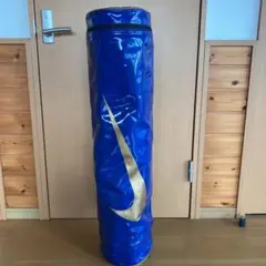 プロ野球選手支給品