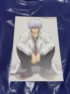 銀八先生　銀魂　イラストカード　坂田銀時