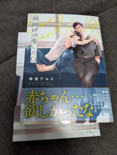 神波 アユミ先生 「特級αの愛したΩ」アニメイト特典リーフレット付き