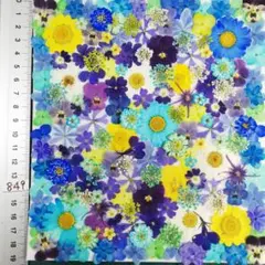 押し花素材　O849 ノースボール ビオラ 紫陽花　バーベナ 小花　押し花