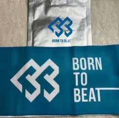 BTOB 公式 スローガン 初期 ver5 グッズ MD メロディ 5期 トレカ