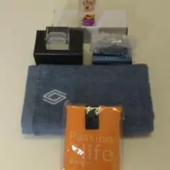 ルノーファン必見! ルノー グッズ