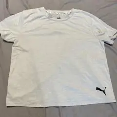 PUMA 半袖Tシャツ ライトグレー　Mサイズ　プーマ　レディース