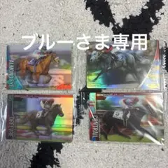 ブルーさま専用出品