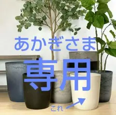 2025年最新】植木鉢 陶器 白 10号の人気アイテム - メルカリ