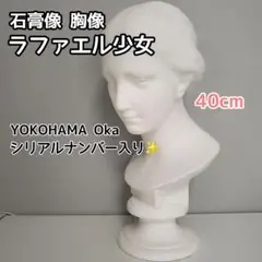石膏像　ブルータス胸像　Yokohama Oka 製　引き取り限定 引き取り限定！ブルータス 石膏像 胸像