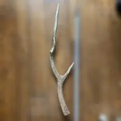 鹿の角 56cm ©