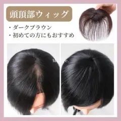 頭頂部ウィッグ 部分ウィッグ ヘアピース かつら 薄毛 白髪