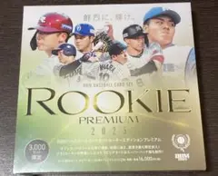 Item thumbnail for item d5735488-9cc2-4198-a16d-f39c92c5619b