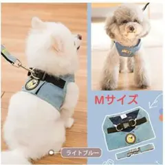 Item thumbnail for item 15535c57-c2cc-4c04-891c-ea439bacd273