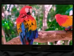 美品「INNOCN 13A1F」 13.3インチ 有機ELモニター　おまけ付き
