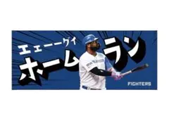 日ハム レイエス語録タオル「エェーーグイホームラン」 応援タオル