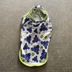 Item thumbnail for item 21a0cb97-a011-4ea9-b234-669e30580e00