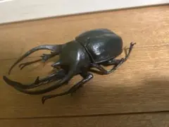 カブトムシ　おもちゃ