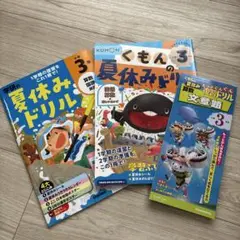 夏休み　算数　国語　ドリル　３冊セット