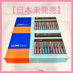 ROLI LUMI 2個セット 日本未発売品 美品 MPE MIDIキーボード