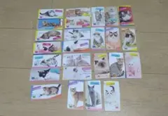 トレーディングカード チョコ 猫カードセット