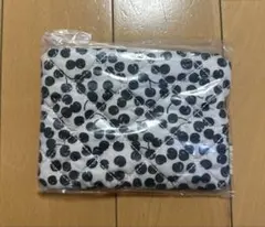 Item thumbnail for item dcd15d1e-d924-4b24-bc3f-50566435d2df