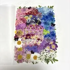 押し花素材☆お花いろいろセット☆*:.。.