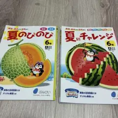 夏のびのび 6年 ぶんけい