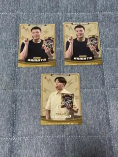 川崎ブレイブサンダース　カード3枚セット