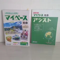 マイペース 社会 アシスト