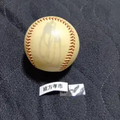 Item thumbnail for item 252339cb-3519-414b-898d-ac68a3968408