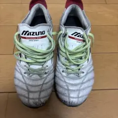 MORELIA NEO3