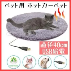 Item thumbnail for item 38060b19-f455-49fe-9768-4c291d6816f9